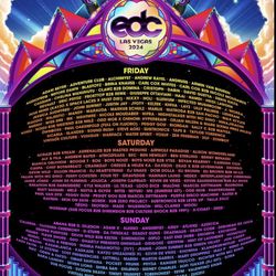 EDC - Friday Ticket $200