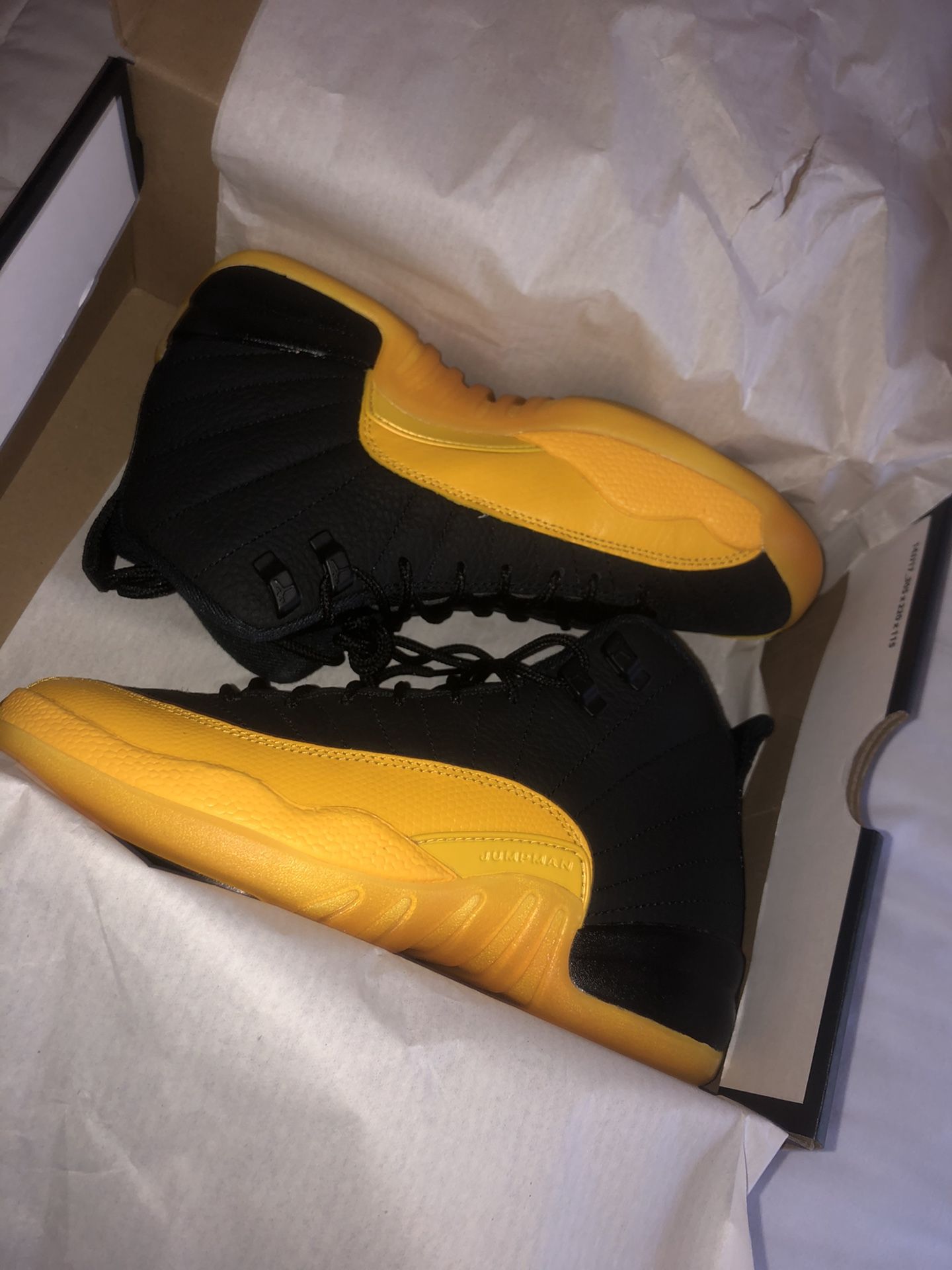 Air Jordan 12s university gold size 5