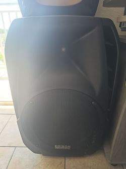 EDISON PROFESSIONAL SPEAKER