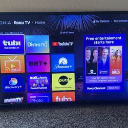 48 Inch Roku Tv