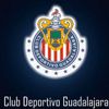 chivas