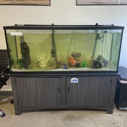 120 Gallon Fish Tank