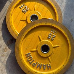 25 LB Weight Plates