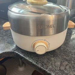 Aroma Hot Pot Whatever pot Indoor Grill