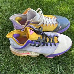 lebron basketball shoes men’s size 10