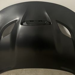 Hell Cat Hood For Car 