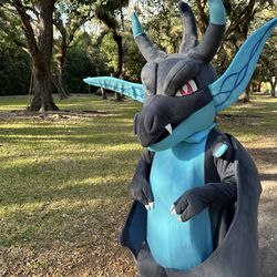 FOR SALE: Pokemon Charizard Mascot Costume