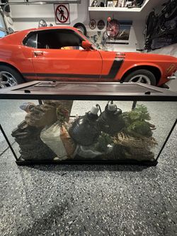Full 40 Gallon Reptile Terrarium Set Up