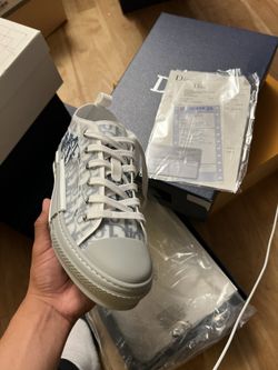 Dior grey low top
