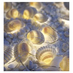Shell String Lights 