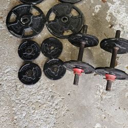 Weights 2.5, 5 & 10 Lb