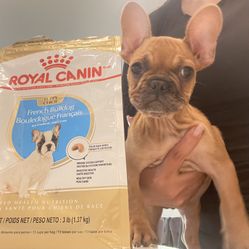 Royal Canin