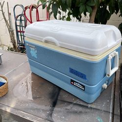 Excellent Condition, Variety Of Different Sizes Coolers