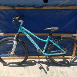 Beach Cruiser