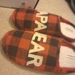 Papa Bear Slides 