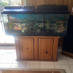 40 Gallon Fish Tank