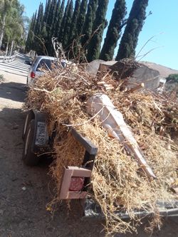 Clean up trash