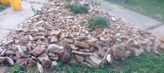 PETRIFIED WOOD