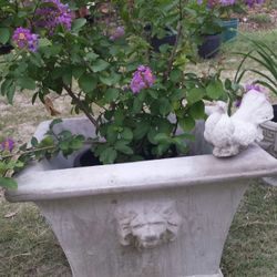 Lion Planters