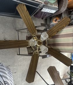 2 Ceiling Fans
