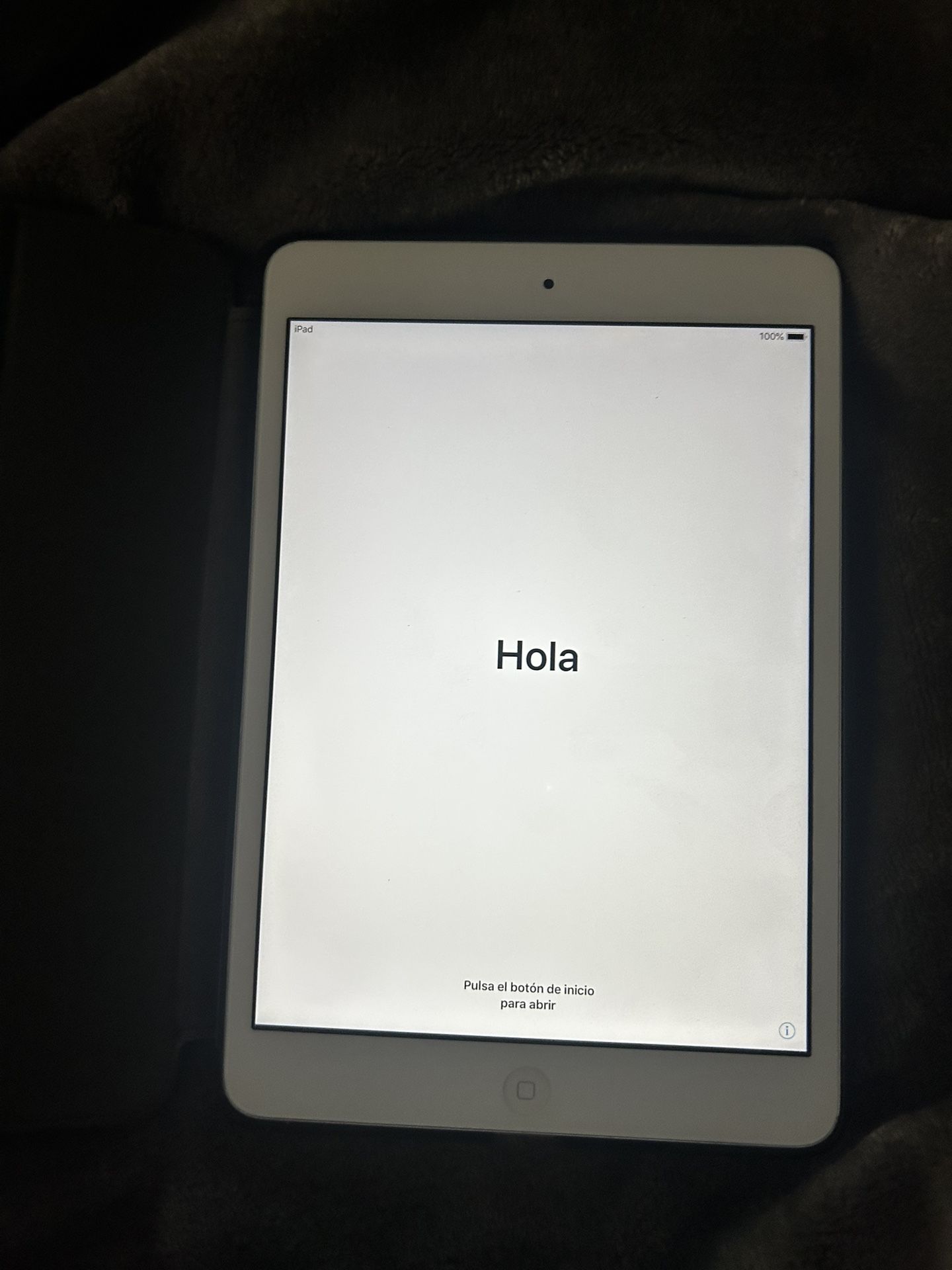 iPad Mini 2 (obo)