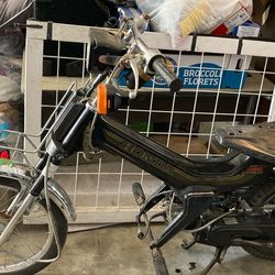 1983 Honda urban express