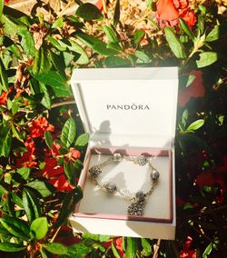 Pandora Bracelet