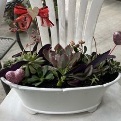 Beautiful Succulent Planter