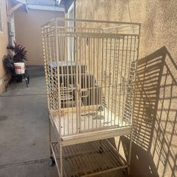 Bird Cage