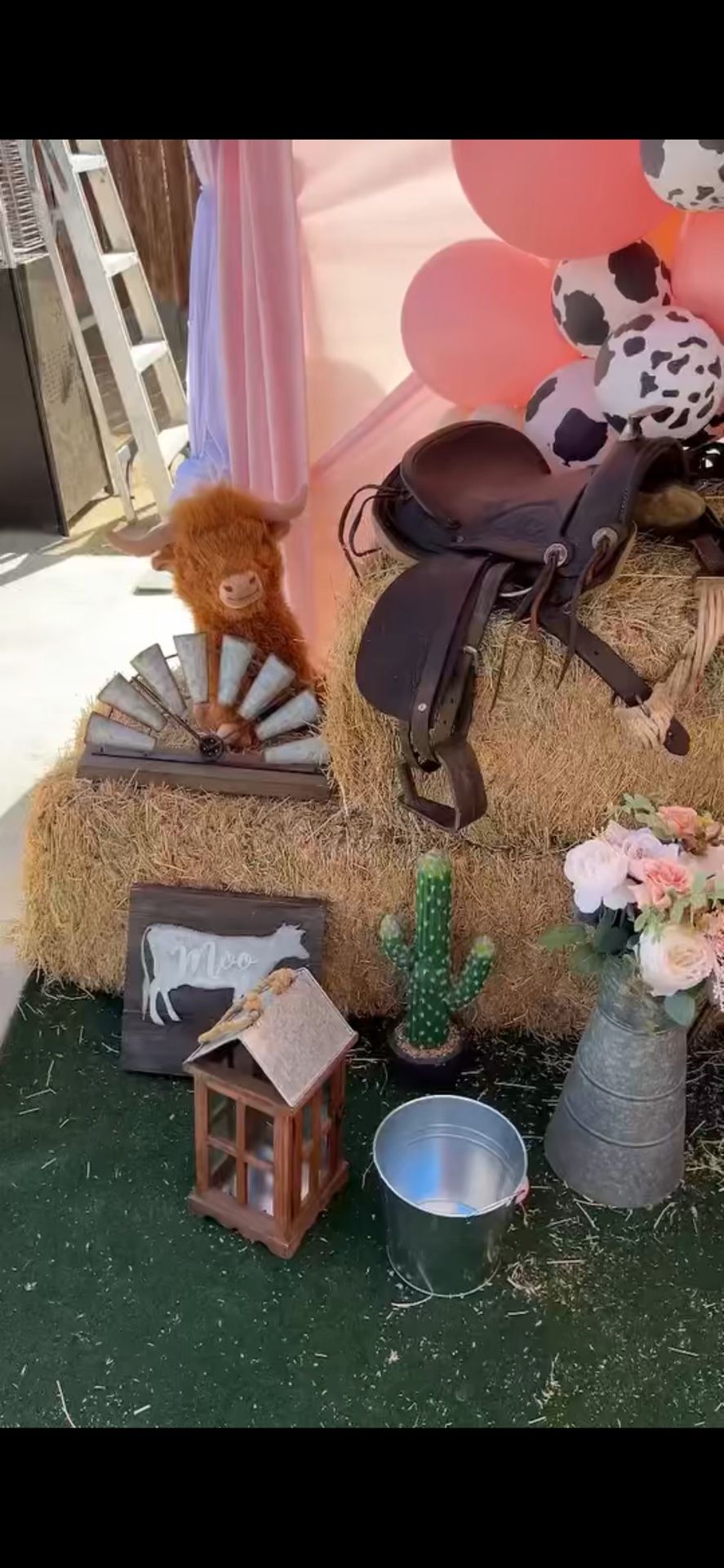 Rodeo Birthday Decorations