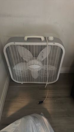 Fan