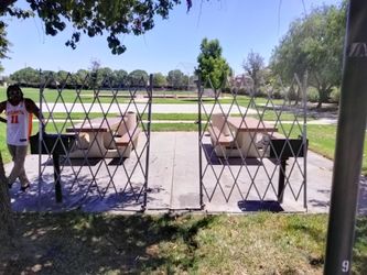 Folding security gate