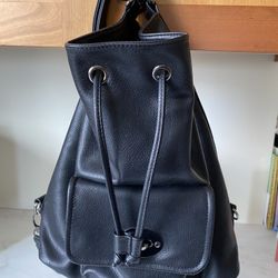 Designer Shoulder Bag / Backpack 