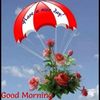 simar
