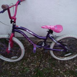 Girls 20 Inch Bike 