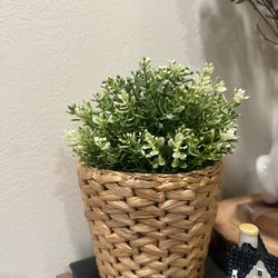 Faux plant with basket PICK UP ONLY