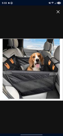 Dog backseat car seat