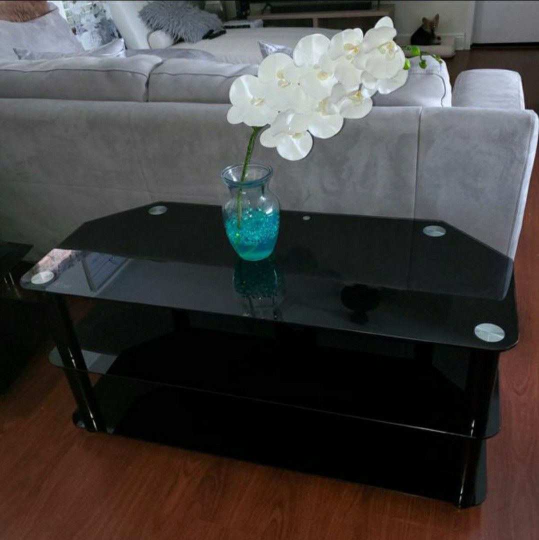 TV table / center table