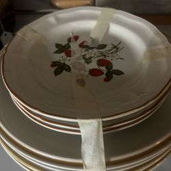 Strawberry Vintage Set! 