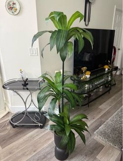 Pretty Artificial plant 5 ft tall with planter