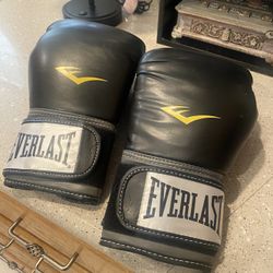 Everlast Gloves  14oz