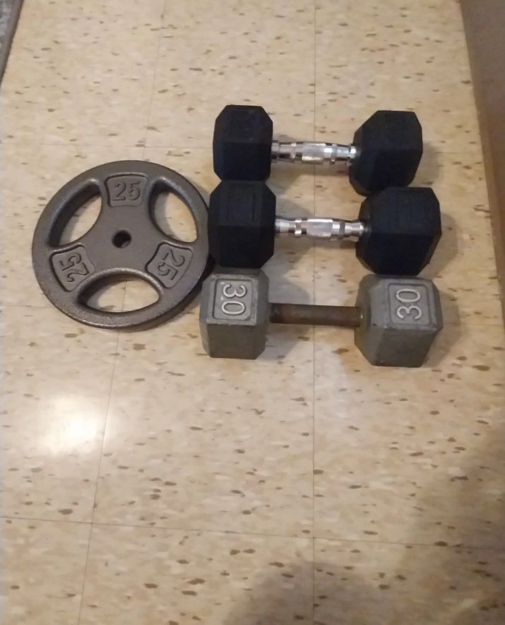 Dumbbells and weight plate 
