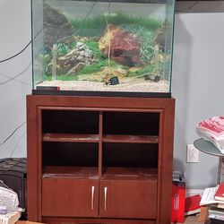 60 Gallon Fish Tank With Stand And Accessories 12Wx30Lx22H