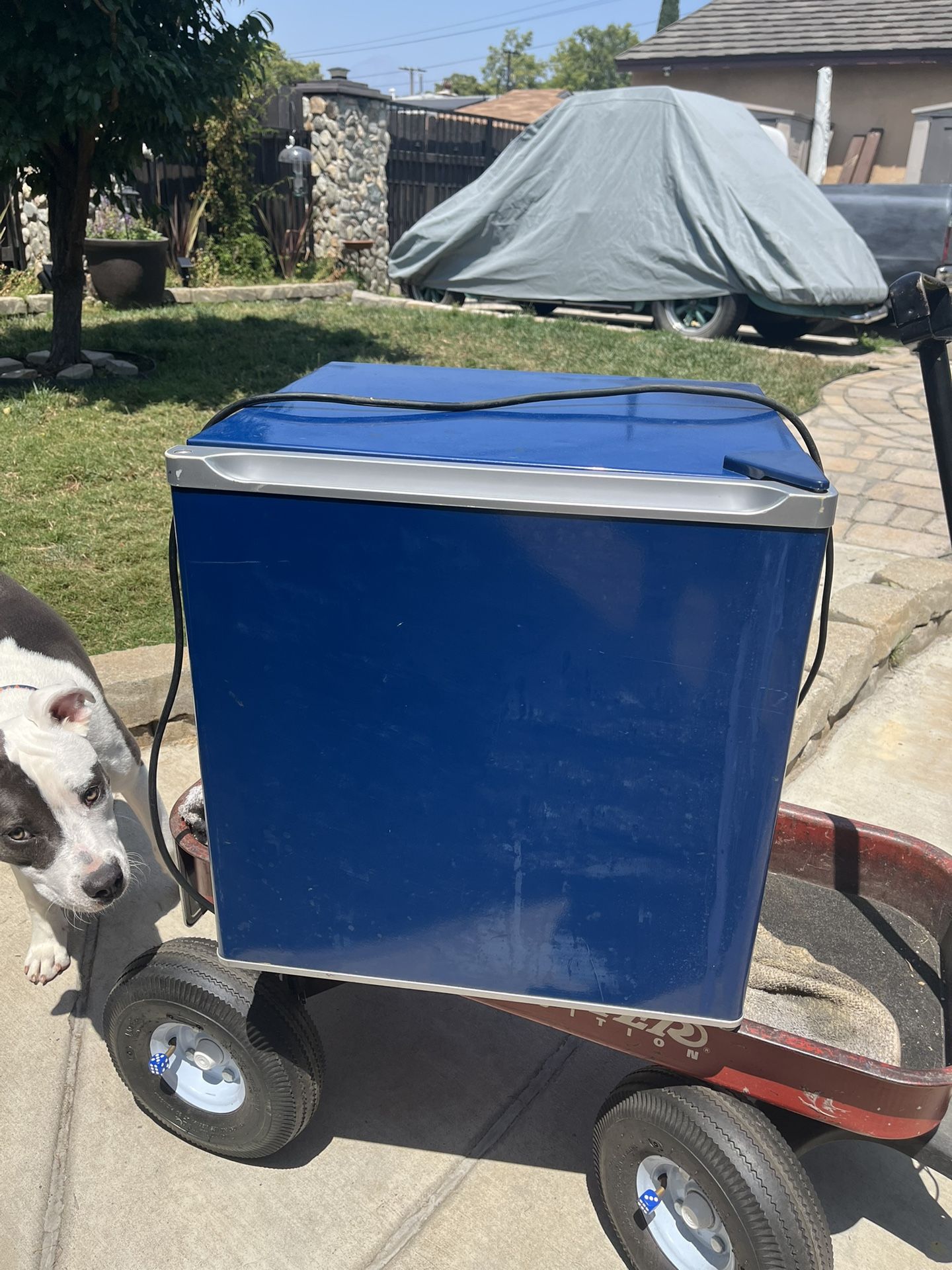 Mini Fridge