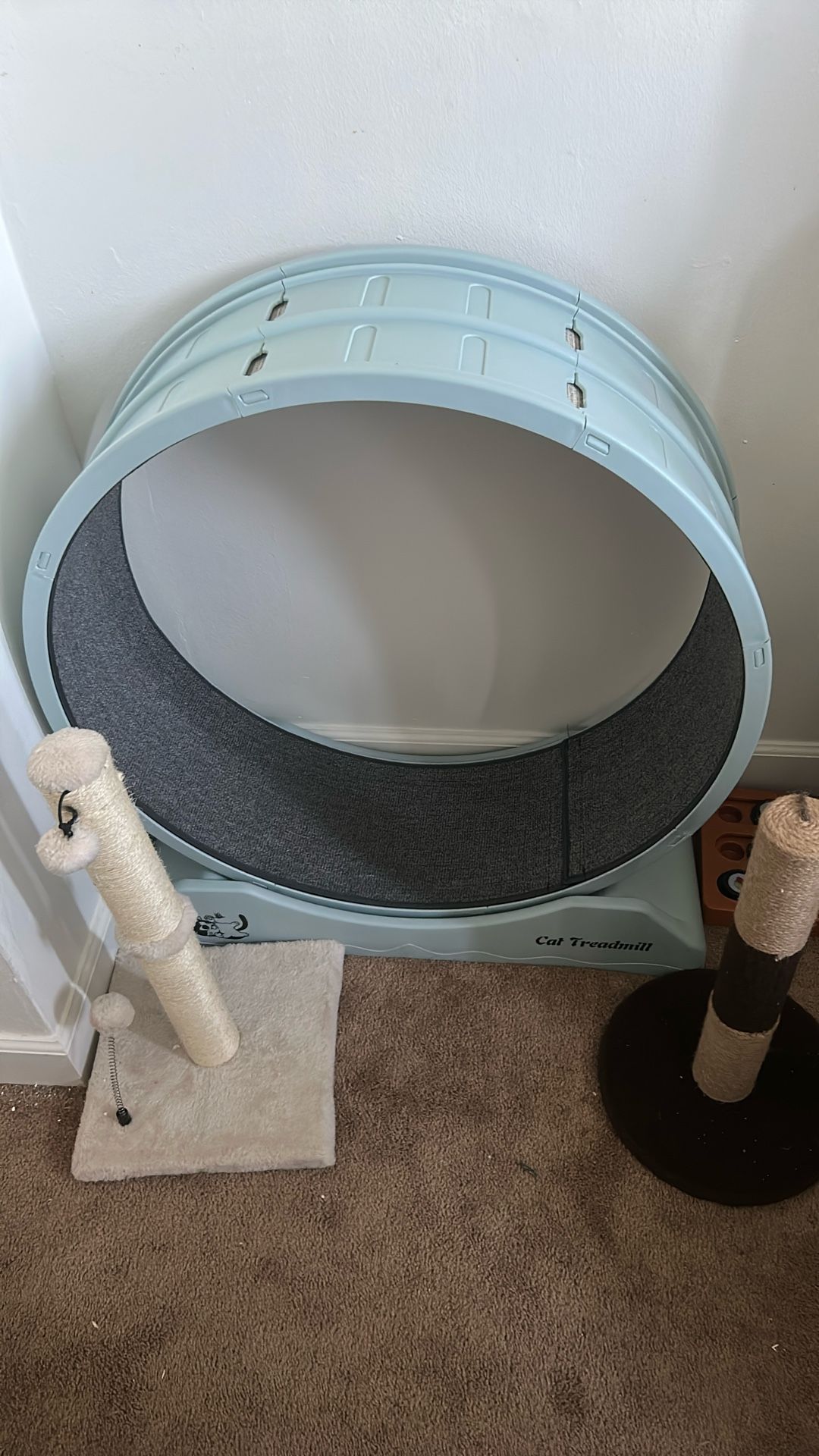 cat trendmile (my cat doesn’t use it)