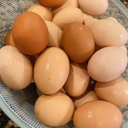 Organic Brown Eggs 