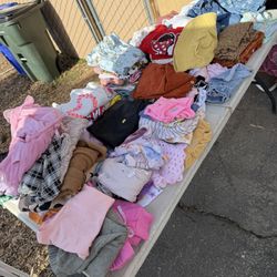Toddler Girl Size 2t-3t