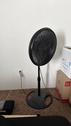 Black fan!