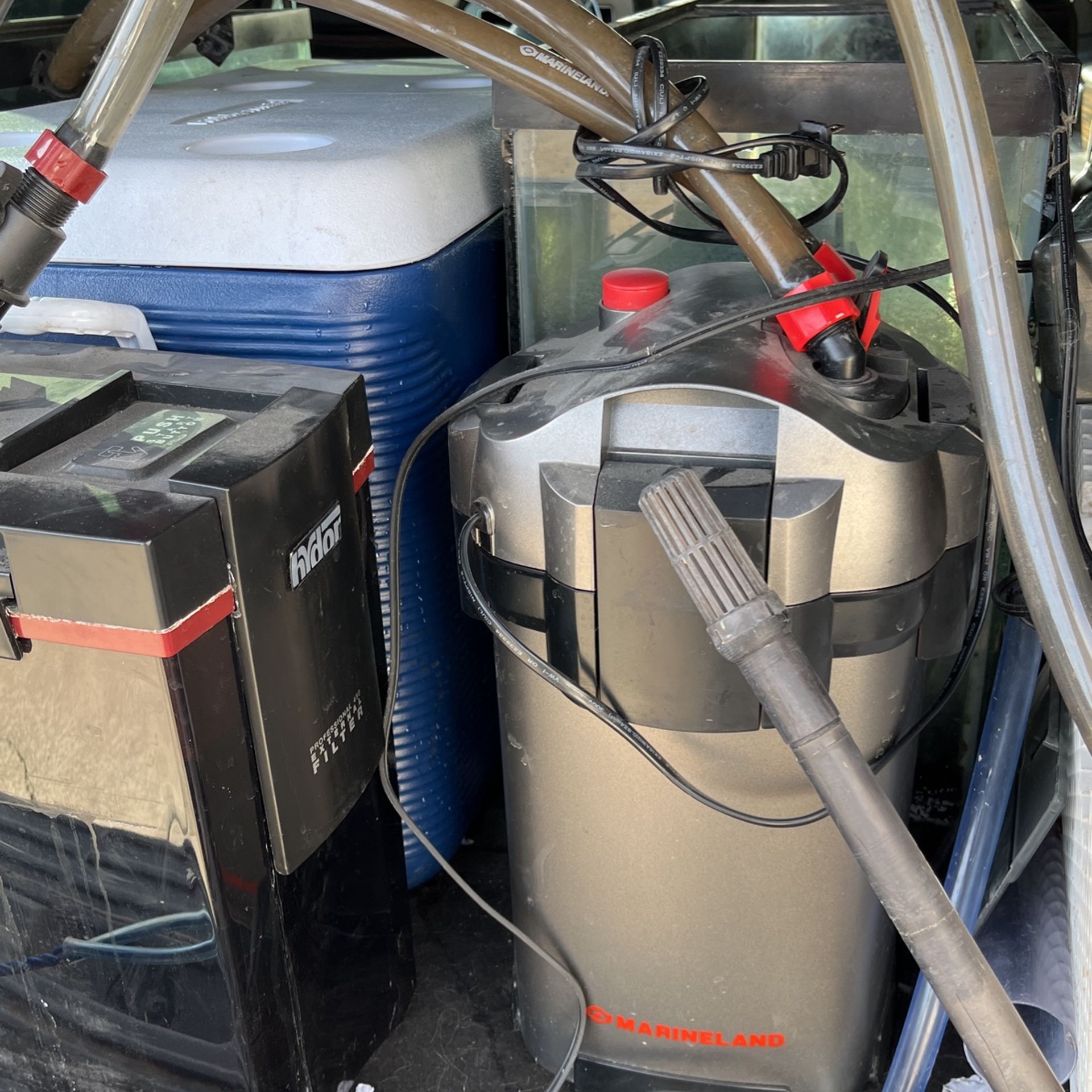 Two 50 Gallon Aquariums