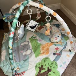 Baby Gym Tummy Time Play Mat 